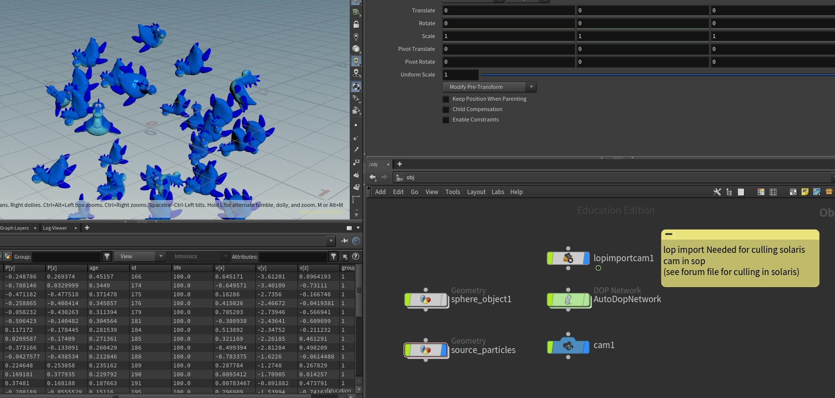 Cull Solaris camera in SOP context