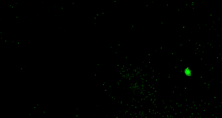 Instanced Lights