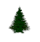 Fur Trees