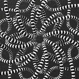 Zebra Flower