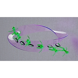 Möbius Race