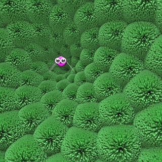 Pinkie