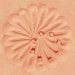 Peach Powder Puff