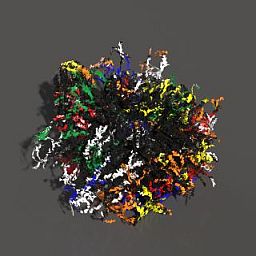 Crazy Cube Chaos