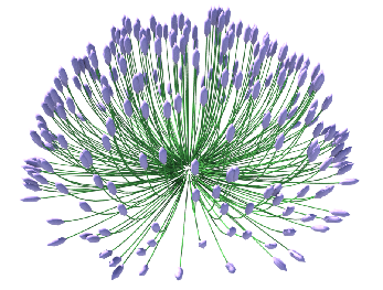 polyspline preview