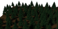 Fur Trees